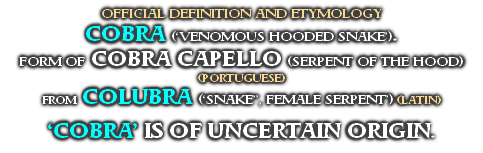 OFFICIAL DEFINITION AND ETYMOLOGY
COBRA (‘VENOMOUS HOODED SNAKE’).
FORM OF COBRA CAPELLO (SERPENT OF THE HOOD) (PORTUGUESE)
FROM COLUBRA (‘SNAKE’’, FEMALE SERPENT’) (LATIN)

‘COBRA’ IS OF UNCERTAIN ORIGIN.
